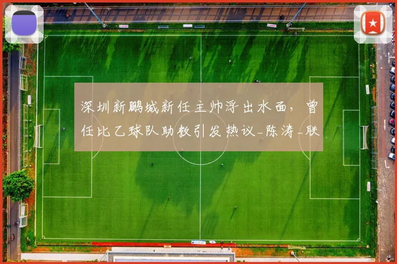 深圳新鹏城新任主帅浮出水面,曾任比乙球队助教引发热议_陈涛_联赛_球迷