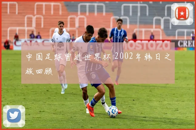 中国足球曾进世界杯 2002年韩日之旅回顾